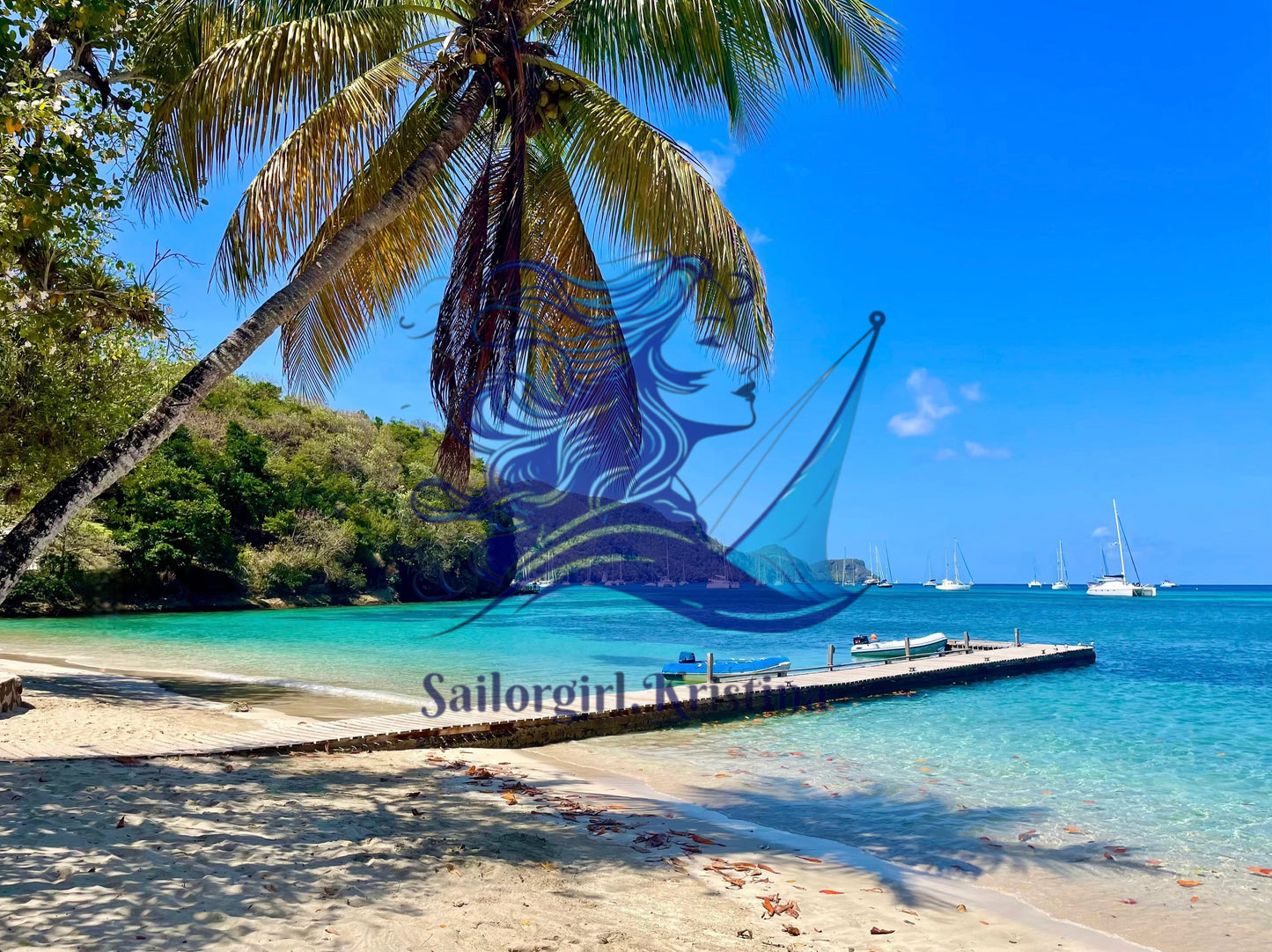 TIP JAR: Enjoy My Work? Leave a Tip & Get 6 High-Quality Caribbean Photos!