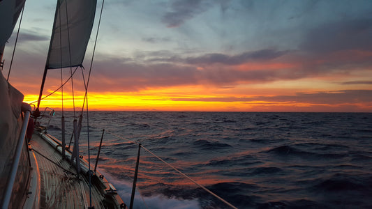 Battling Seasickness: A Sailor's Survival Guide